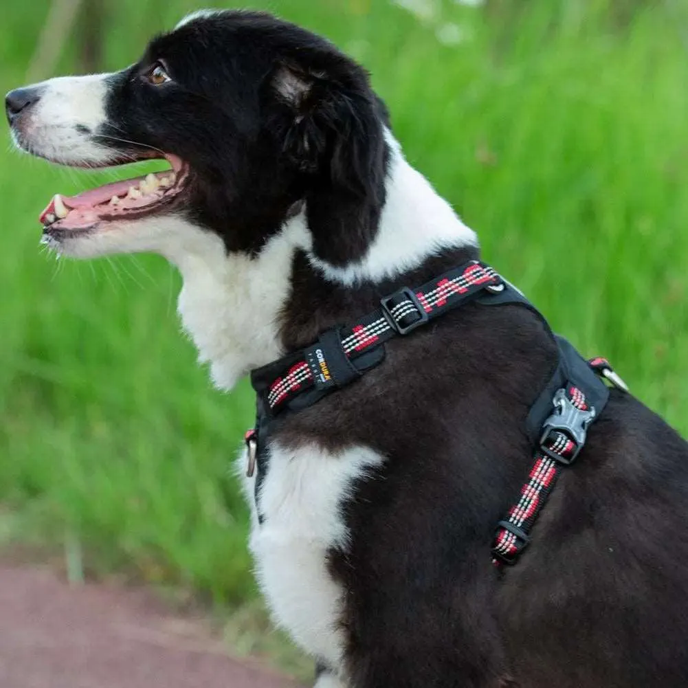 Lightweight Dog Harness for Comfortable and Secure Walks