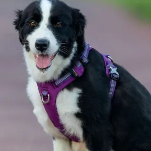 Lightweight Dog Harness for Comfortable and Secure Walks