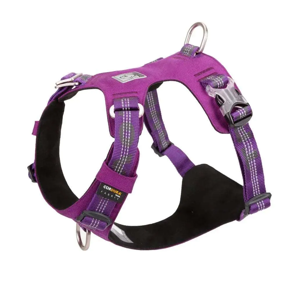 Lightweight Dog Harness for Comfortable and Secure Walks