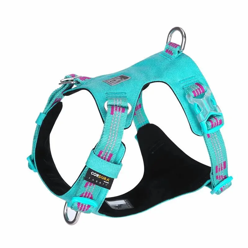 Lightweight Dog Harness for Comfortable and Secure Walks