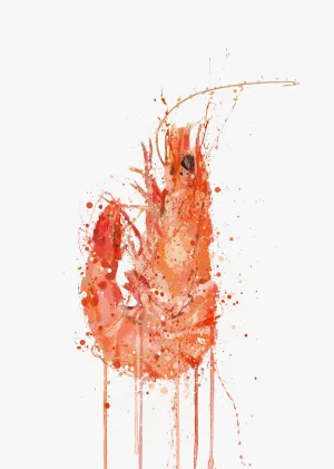 Seafood Wall Art Print 'Prawn'